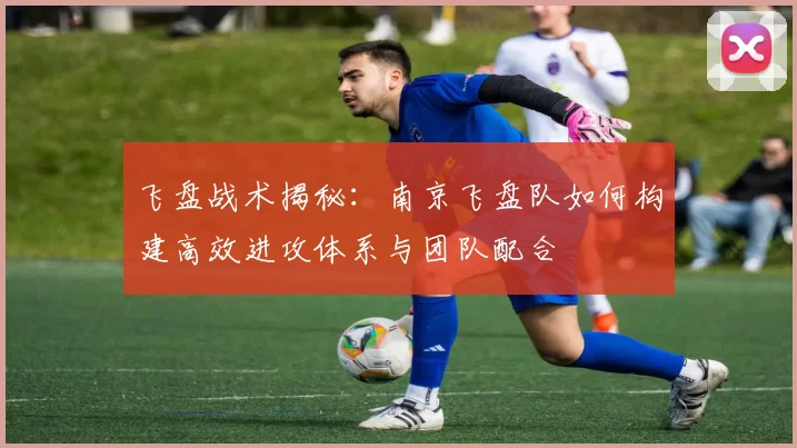 飞盘战术揭秘：南京飞盘队如何构建高效进攻体系与团队配合