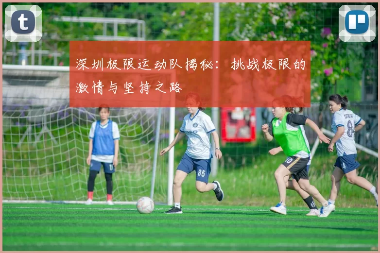 深圳极限运动队揭秘：挑战极限的激情与坚持之路