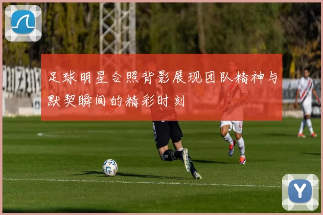 足球明星合照背影展现团队精神与默契瞬间的精彩时刻