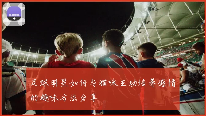 足球明星如何与猫咪互动培养感情的趣味方法分享