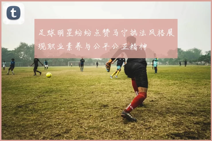 足球明星纷纷点赞马宁执法风格展现职业素养与公平公正精神