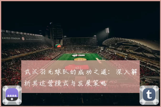 武汉羽毛球队的成功之道：深入解析其运营模式与发展策略