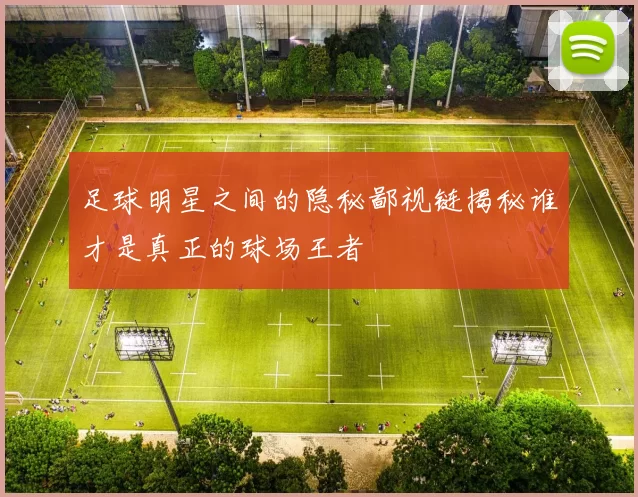 足球明星之间的隐秘鄙视链揭秘谁才是真正的球场王者