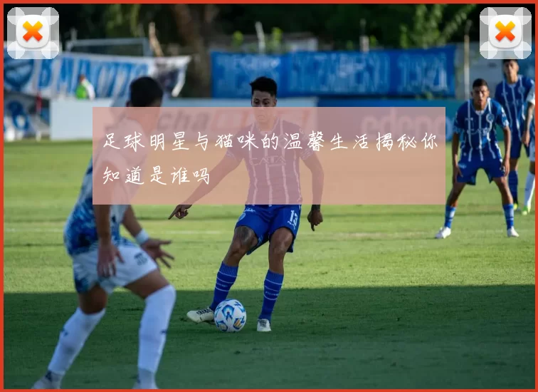 足球明星与猫咪的温馨生活揭秘你知道是谁吗