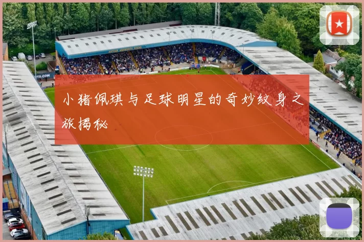 小猪佩琪与足球明星的奇妙纹身之旅揭秘