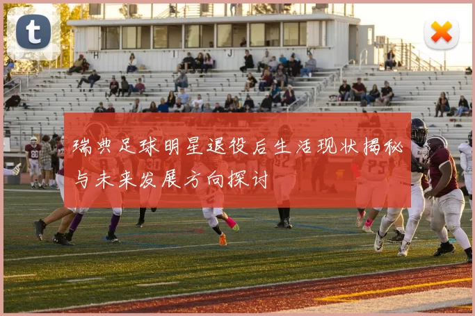 瑞典足球明星退役后生活现状揭秘与未来发展方向探讨