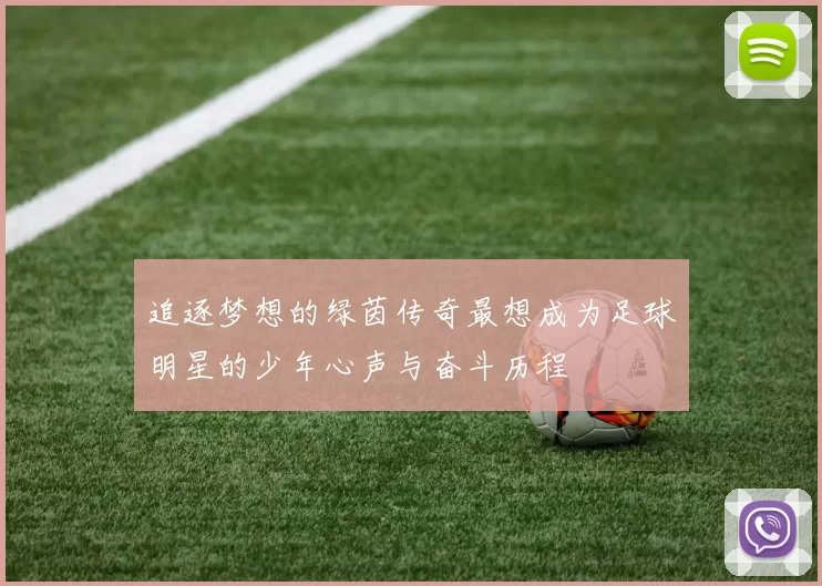 追逐梦想的绿茵传奇最想成为足球明星的少年心声与奋斗历程