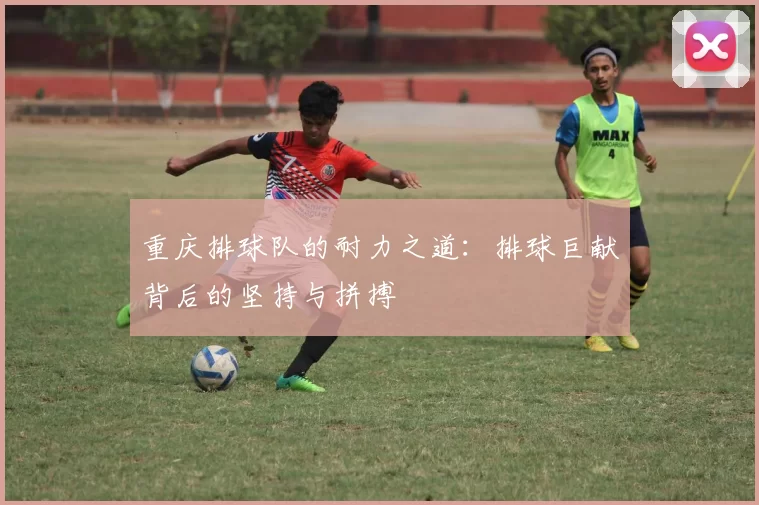 重庆排球队的耐力之道：排球巨献背后的坚持与拼搏