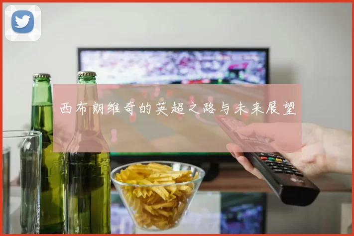 西布朗维奇的英超之路与未来展望