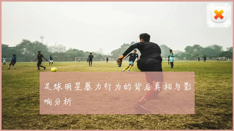 足球明星暴力行为的背后真相与影响分析
