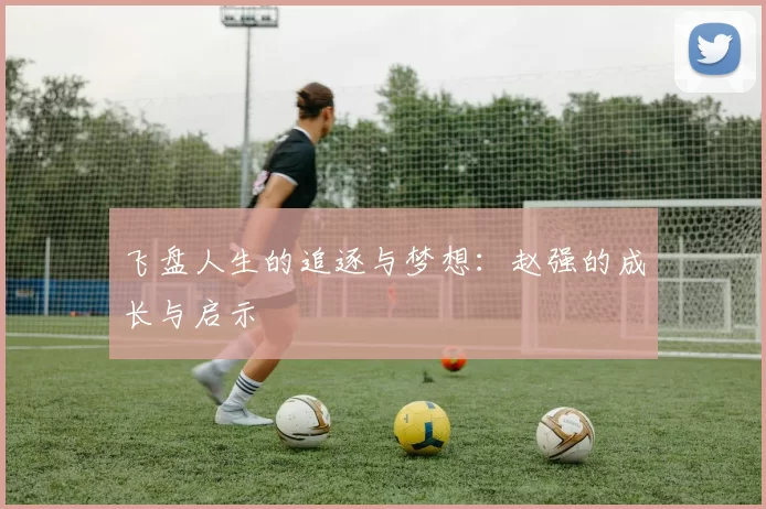 飞盘人生的追逐与梦想：赵强的成长与启示