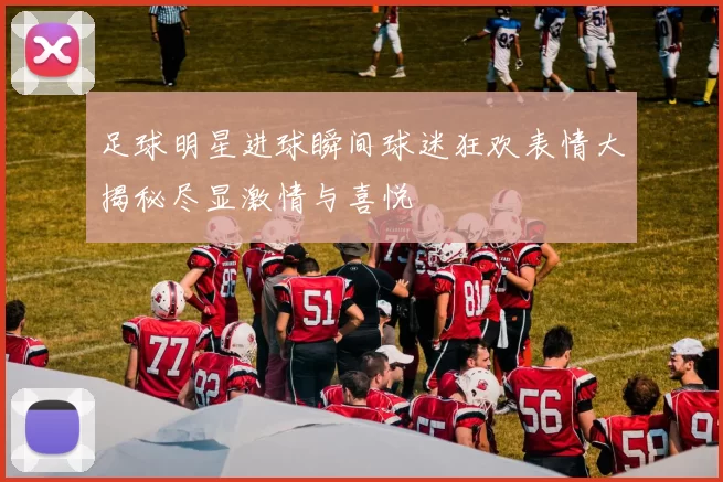 足球明星进球瞬间球迷狂欢表情大揭秘尽显激情与喜悦