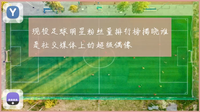 现役足球明星粉丝量排行榜揭晓谁是社交媒体上的超级偶像