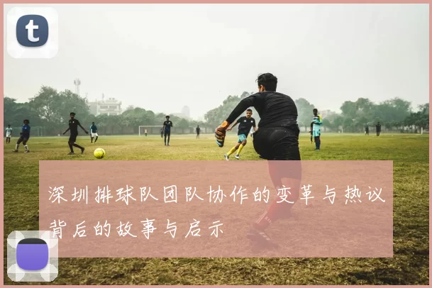 深圳排球队团队协作的变革与热议背后的故事与启示