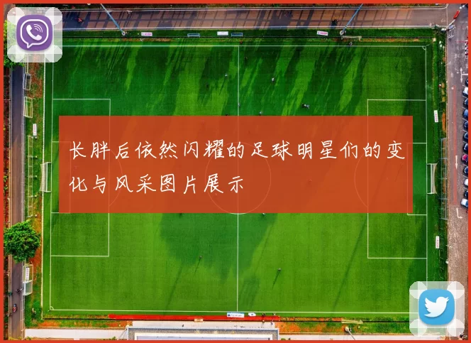 长胖后依然闪耀的足球明星们的变化与风采图片展示