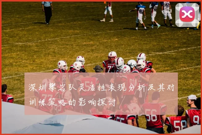 深圳攀岩队灵活性表现分析及其对训练策略的影响探讨