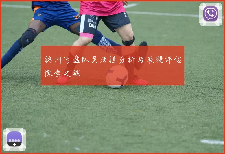 杭州飞盘队灵活性分析与表现评估探索之旅