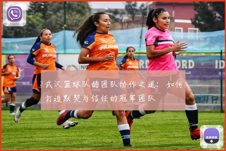 武汉篮球队的团队协作之道：如何打造默契与信任的冠军团队