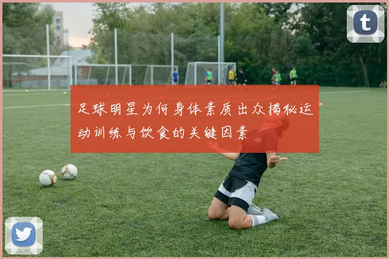 足球明星为何身体素质出众揭秘运动训练与饮食的关键因素