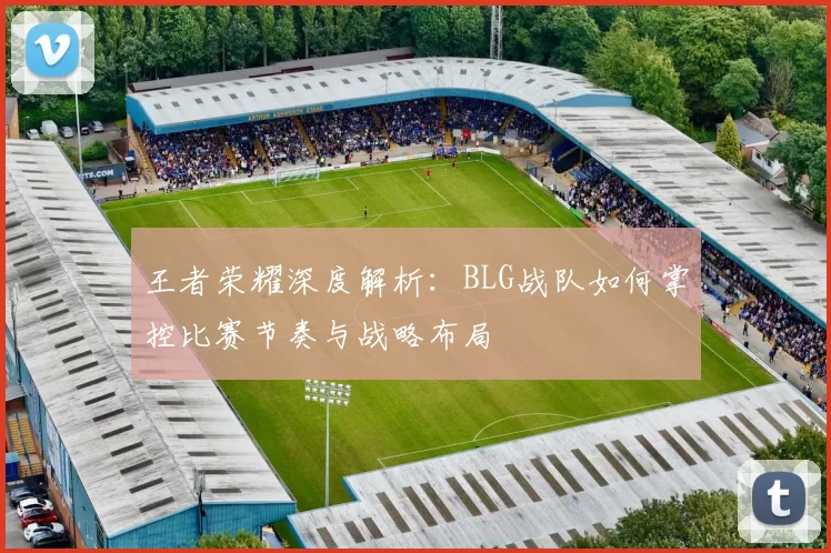 王者荣耀深度解析：BLG战队如何掌控比赛节奏与战略布局