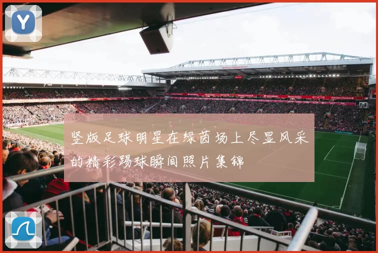 竖版足球明星在绿茵场上尽显风采的精彩踢球瞬间照片集锦