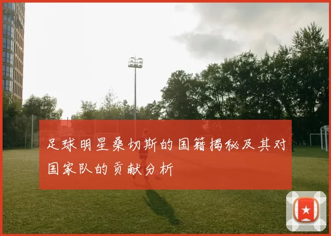 足球明星桑切斯的国籍揭秘及其对国家队的贡献分析