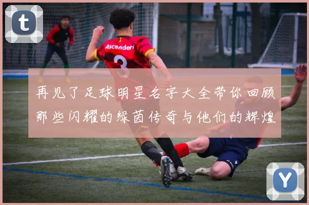 再见了足球明星名字大全带你回顾那些闪耀的绿茵传奇与他们的辉煌时刻