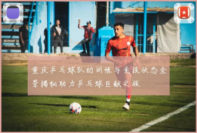 重庆乒乓球队的训练与竞技状态全景揭秘助力乒乓球巨献之旅
