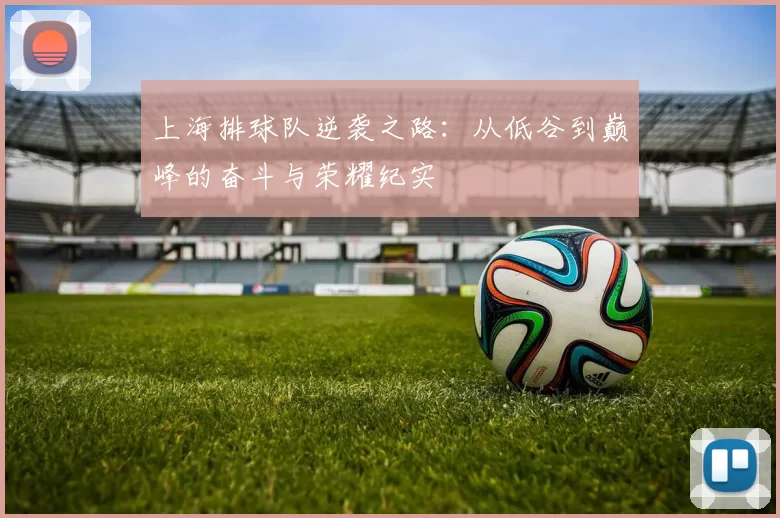 上海排球队逆袭之路：从低谷到巅峰的奋斗与荣耀纪实