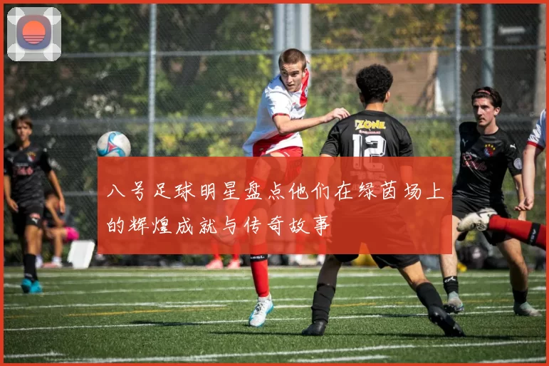 八号足球明星盘点他们在绿茵场上的辉煌成就与传奇故事