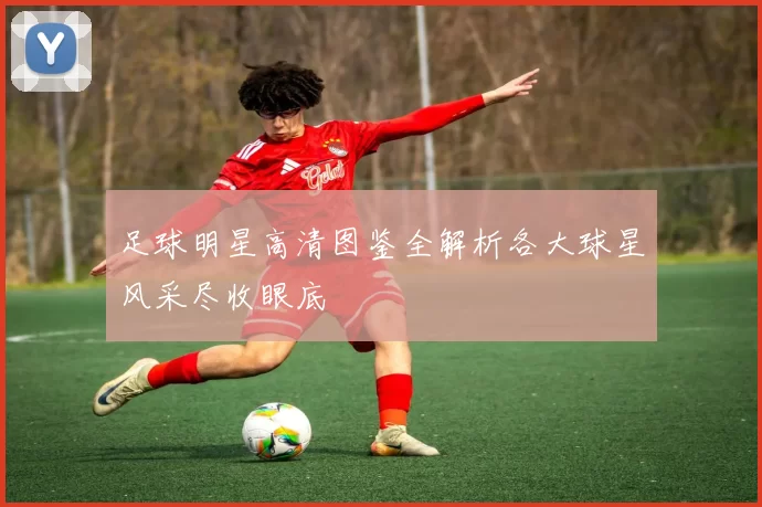 足球明星高清图鉴全解析各大球星风采尽收眼底